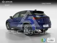 2025 Lexus LBX