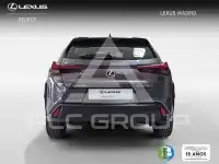 2025 Lexus UX