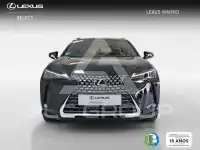 2025 Lexus UX