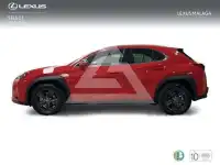 2025 Lexus UX