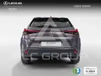 2025 Lexus UX
