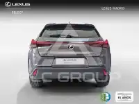 2025 Lexus UX