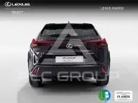 2025 Lexus UX