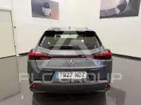 2025 Lexus UX