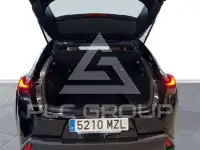 2025 Lexus UX