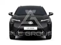 2026 Lexus UX