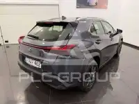 2025 Lexus UX