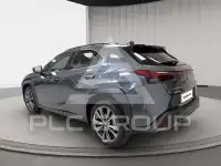 2025 Lexus UX