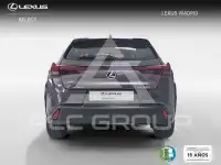 2025 Lexus UX