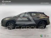 2025 Lexus UX