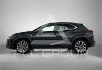 2025 Lexus UX