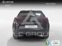 2025 Lexus UX