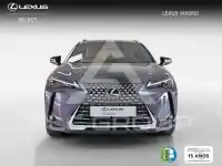 2025 Lexus UX