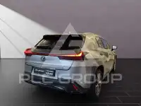 2025 Lexus UX250