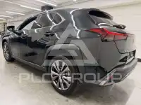 2025 Lexus UX250