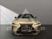 2025 Lexus UX250