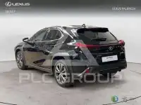 2025 Lexus UX250