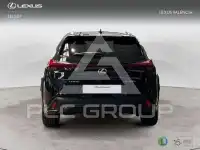 2025 Lexus UX250