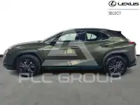 2025 Lexus UX250