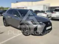 2025 Lexus UX250