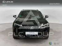 2025 Lexus UX250