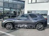 2025 Lexus UX250