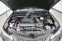 2025 Lexus UX250