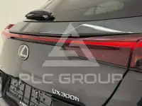 2025 Lexus UX250