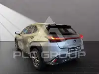 2025 Lexus UX250