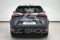 2025 Lexus UX250