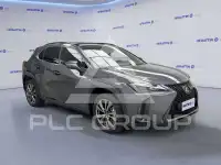 2025 Lexus UX250