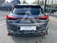 2025 Lexus UX250