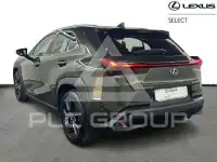 2025 Lexus UX250