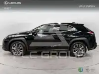 2025 Lexus UX250