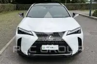 2025 Lexus UX250