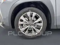 2025 Lexus UX250