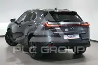 2025 Lexus UX250