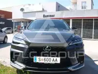 2025 Lexus RX450