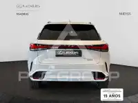 2025 Lexus RX450