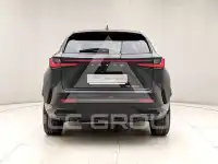 2025 Lexus Other