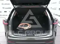 2025 Lexus Other