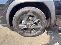 2025 Lexus Other