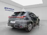 2025 Lexus UX