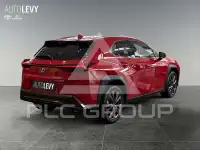 2025 Lexus UX