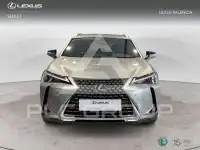 2025 Lexus UX