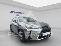 2025 Lexus UX