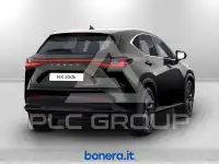 2025 Lexus NX250