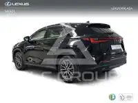 2025 Lexus NX250