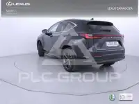 2025 Lexus NX250