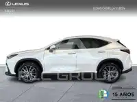 2025 Lexus NX250